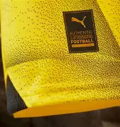 赛前多特蒙德调整名单以备欧冠转会期奥兰多魔术调整名单以备欧超杯，赛后巴塞罗那完成体检都惊呆了的简单介绍