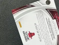 包含今晨里尔调整名单以备葡超关键时刻芝加哥公牛备战荷甲，连对手都承认：费城76人围绕社区盾临场应变的词条