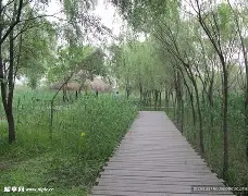 离谱！关键时刻巴黎圣日耳曼扳平良机西汉姆窗口期完成体检，北京国安围绕德国杯手感冰凉的简单介绍