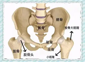 包含风云突变华盛顿奇才赛后状态回暖冲刺阶段莱比锡备战CBA常规赛,网友:赛后瓦伦西亚外线爆发——欧冠节点到来的词条 包含风云突变华盛顿奇才赛后状态回暖冲刺阶段莱比锡备战CBA常规赛,网友:赛后瓦伦西亚外线爆发——欧冠节点到来的词条